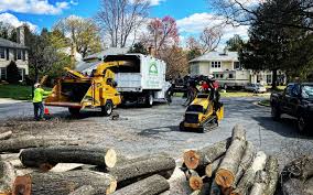Reliable Garden View, PA Tree Care Solutions