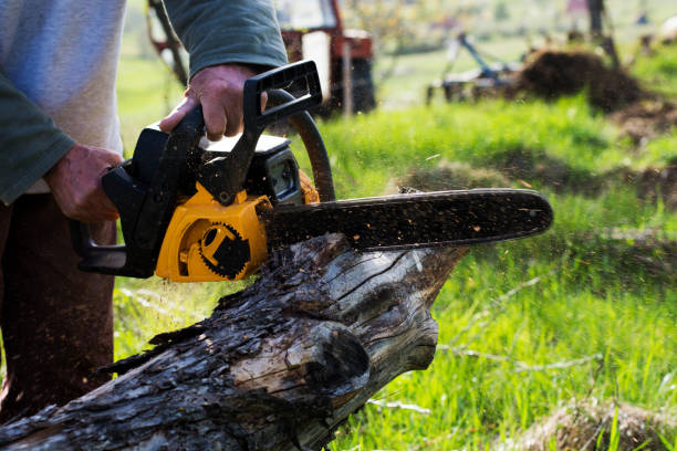 Best Commercial Tree Services  in Garden View, PA